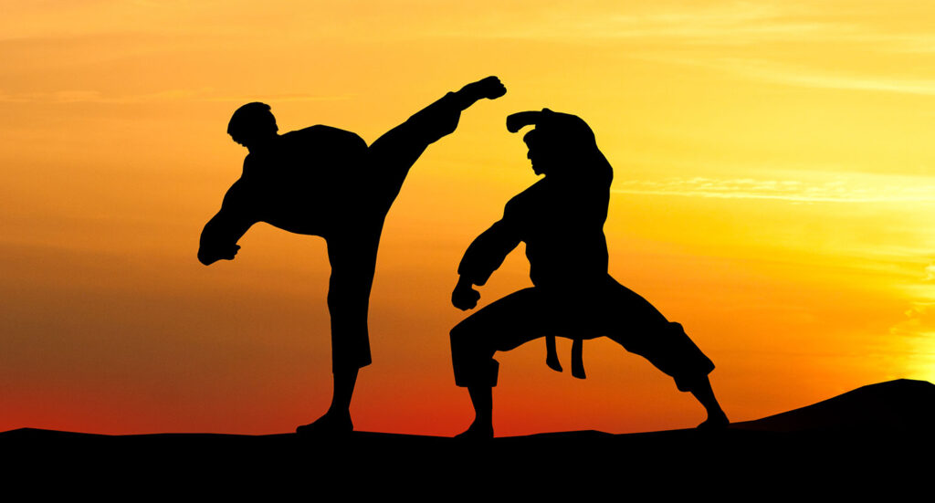 Martial artists silhouette