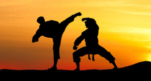 Karate_Fighters
