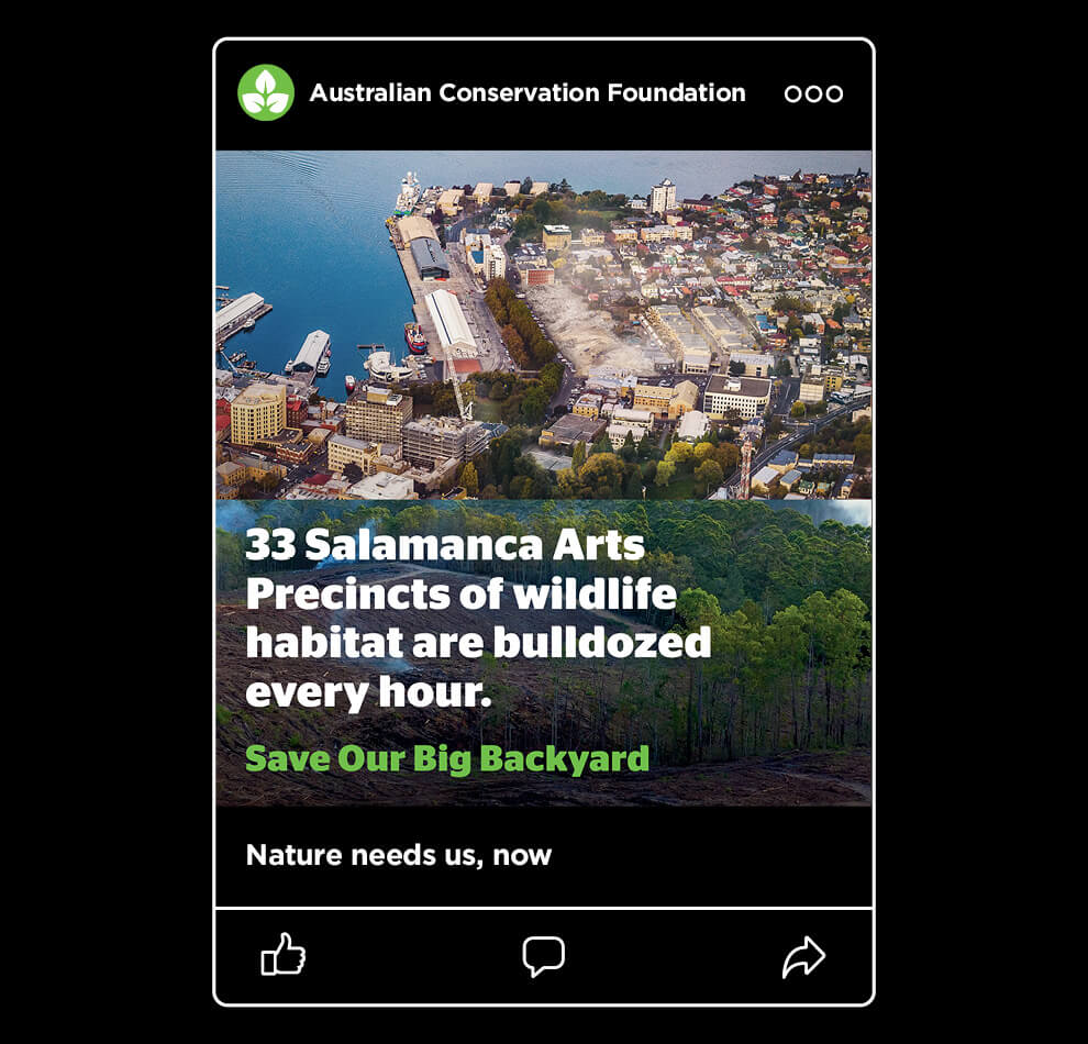 ACF Tasmania 33 Salamanca arts precincts of wildlife habitat are bulldozed every hour